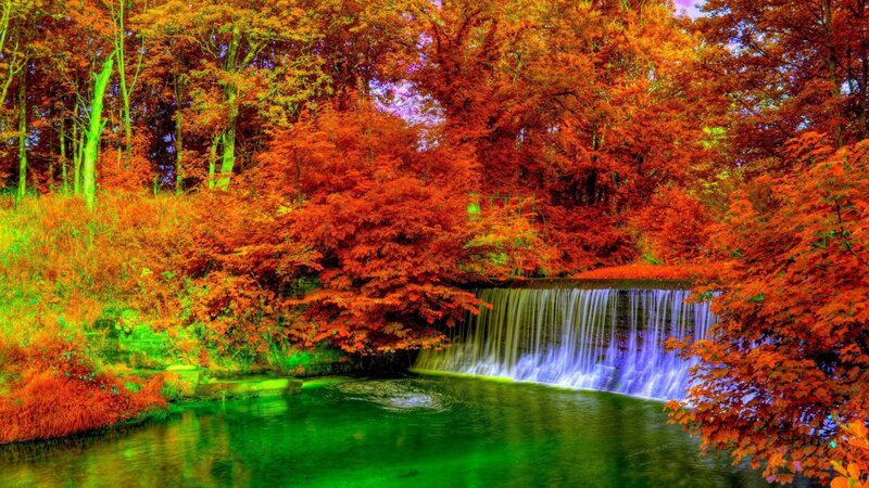 Small Waterfall in Forest — Red, Serene, Autumn, Photograph, Trees, River