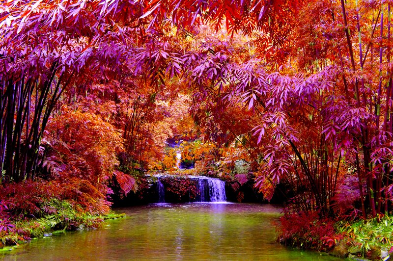 Small Waterfall in Forest — Red, Serene, Autumn, Photograph, Trees, Stream