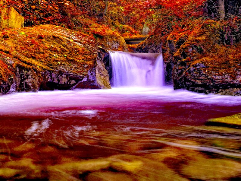 Small Waterfall in Forest — Red, Serene, Autumn, Photograph, Trees