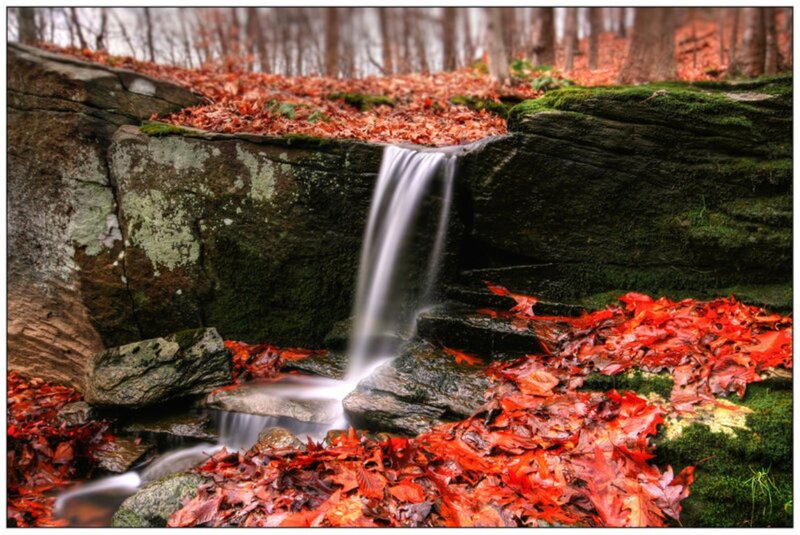 Small Waterfall in Forest — Red, Serene