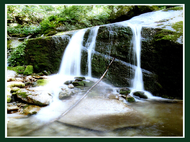 Small Waterfall in Forest — Serene, Afternoon