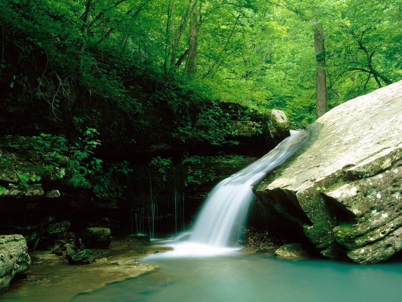 Small Waterfall in Forest — Serene, Photograph