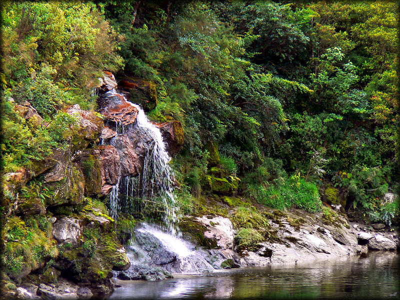 Small Waterfall in Forest — Serene, Stream