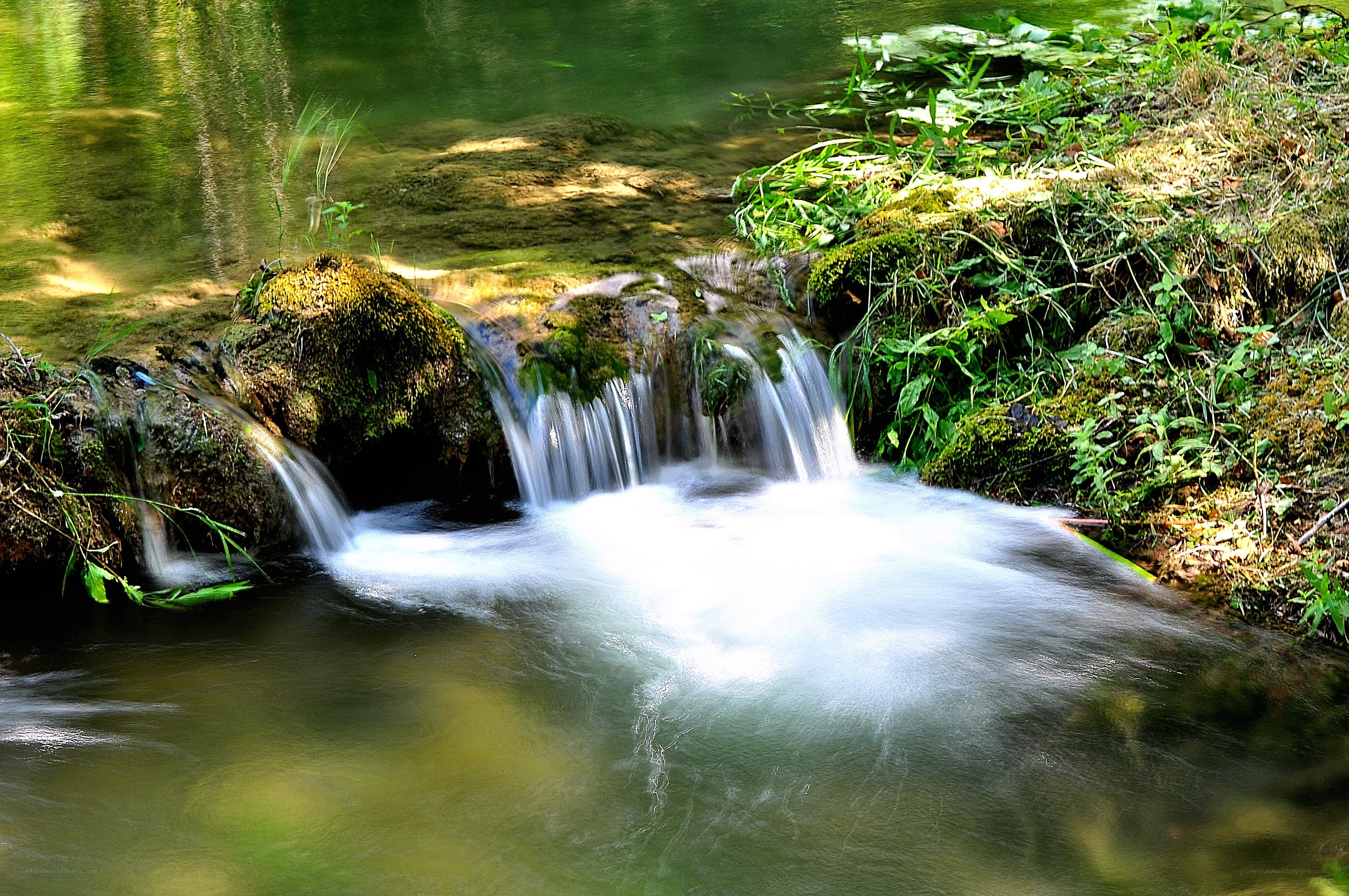Small waterfall in forest stream