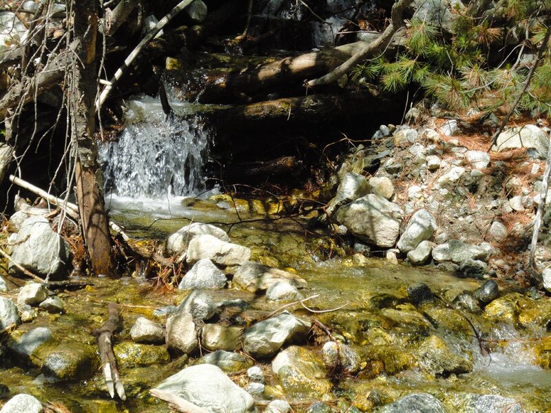 Small waterfall in forest stream