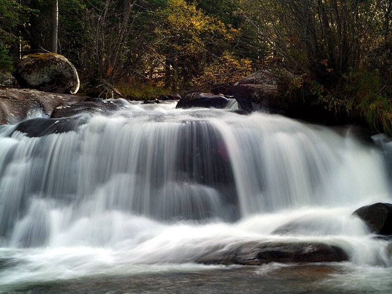 Small Waterfall in Forest — White