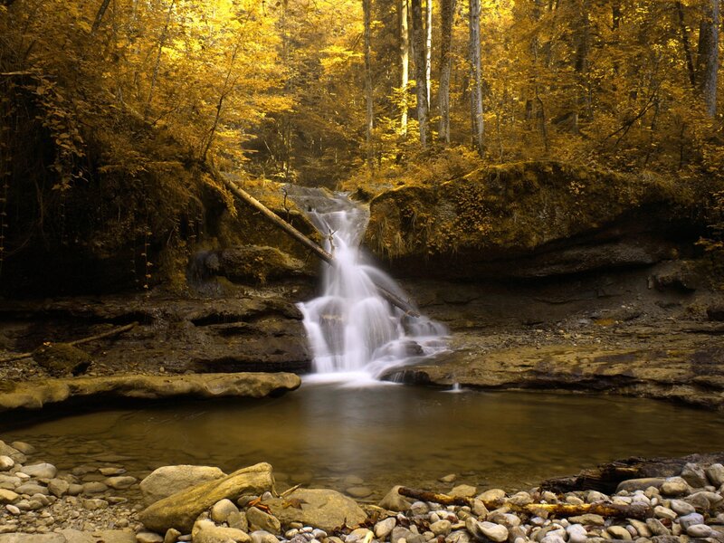 Small Waterfall in Forest — Yellow, Autumn