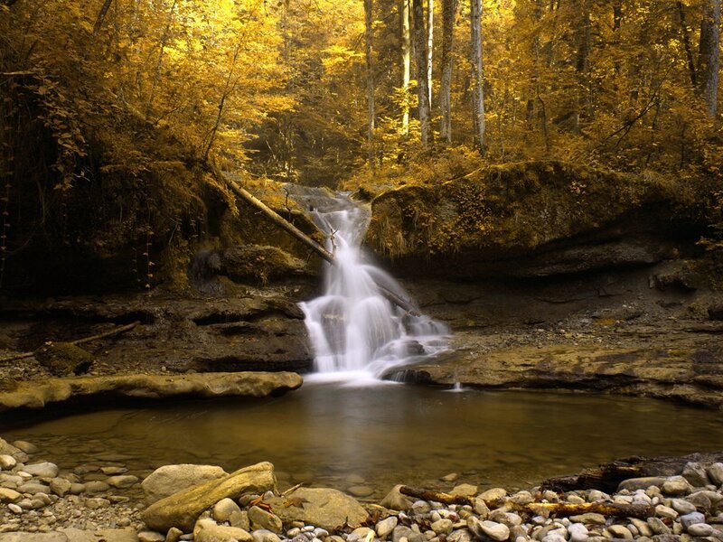 Small Waterfall in Forest — Yellow, Rocks