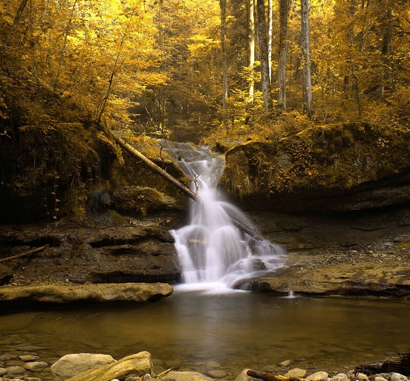 Small Waterfall in Forest — Yellow, Serene, Autumn, Photograph