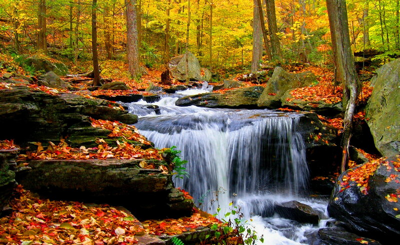 Small Waterfall in Forest — Yellow, Serene, Autumn, Photograph, Trees, Rocks, Fallen Leaves
