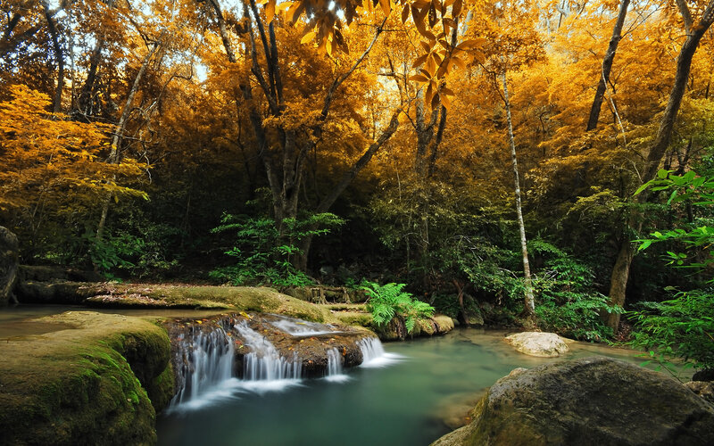 Small Waterfall in Forest — Yellow, Serene, Autumn, Photograph, Trees