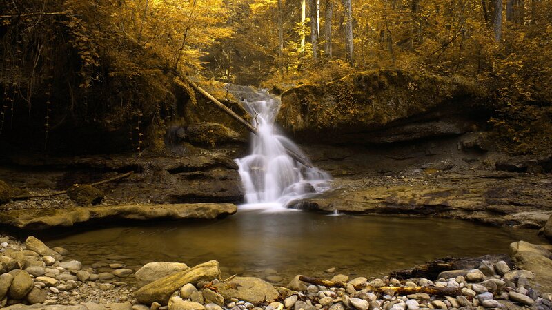 Small Waterfall in Forest — Yellow, Serene, Autumn