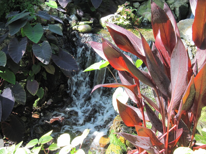 Small Waterfall in Garden — Green, Serene, Afternoon, Photograph, Plants