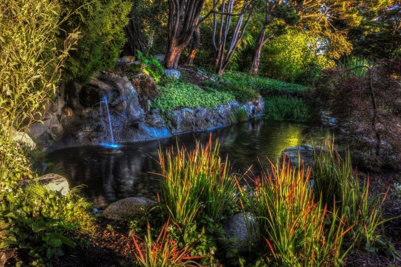 Small Waterfall in Garden — Green, Serene, Afternoon, Photograph, Pond