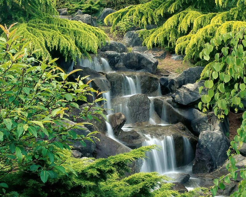 Small Waterfall in Garden — Green, Serene, Afternoon, Photograph, Rocks