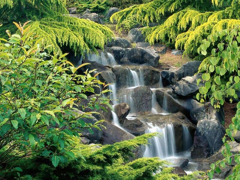 Small Waterfall in Garden — Green, Serene, Afternoon, Photograph, Rocks, Trees