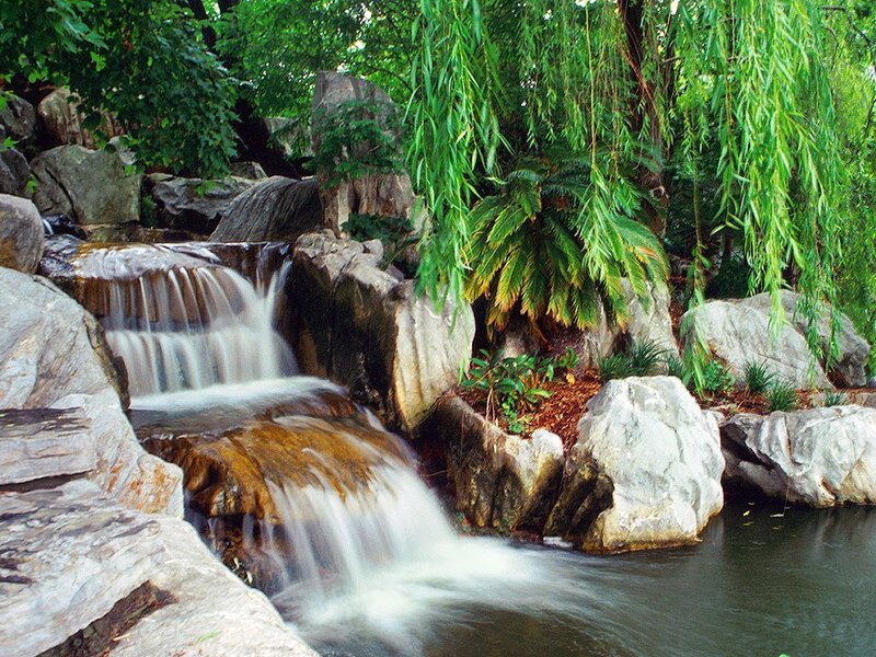 Small Waterfall in Garden — Green, Serene, Afternoon, Photograph, Rocks, Willow Tree
