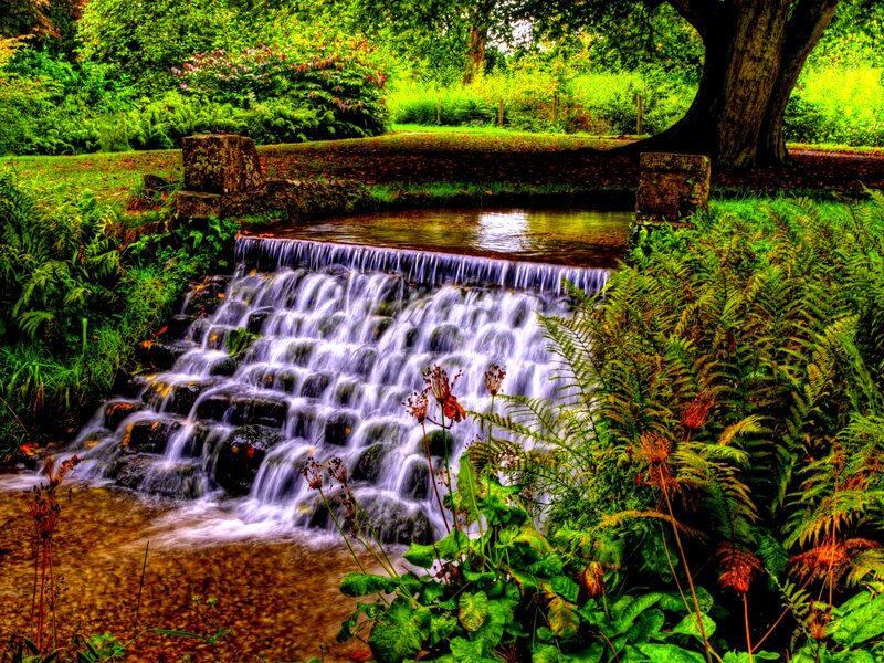 Small Waterfall in Garden — Green, Serene, Afternoon, Photograph, Stream