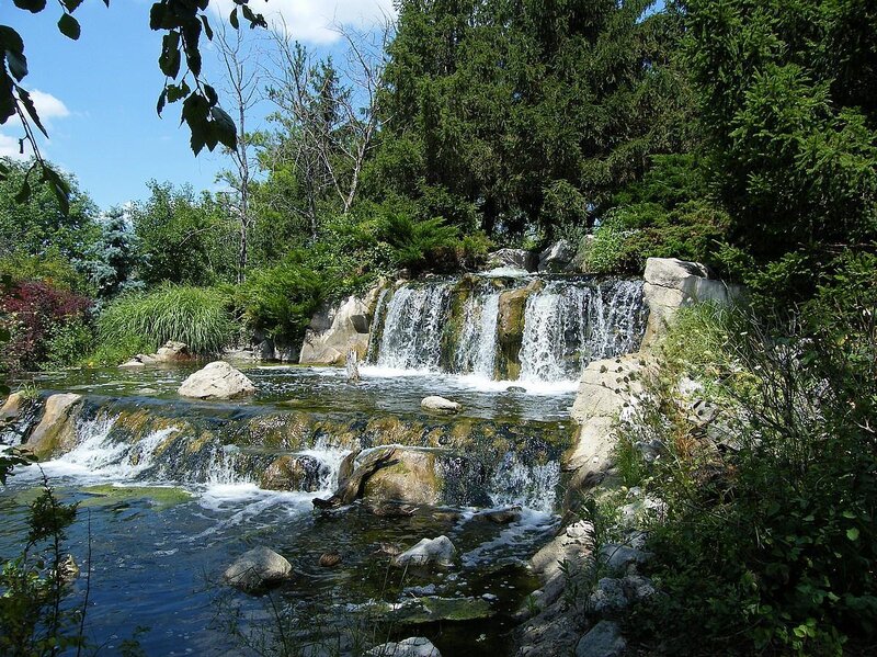 Small Waterfall in Garden — Green, Serene, Afternoon, Photograph