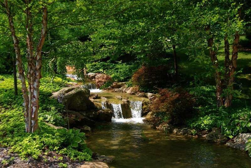 Small Waterfall in Garden — Green, Serene, Afternoon, Photograph, Trees, Rocks