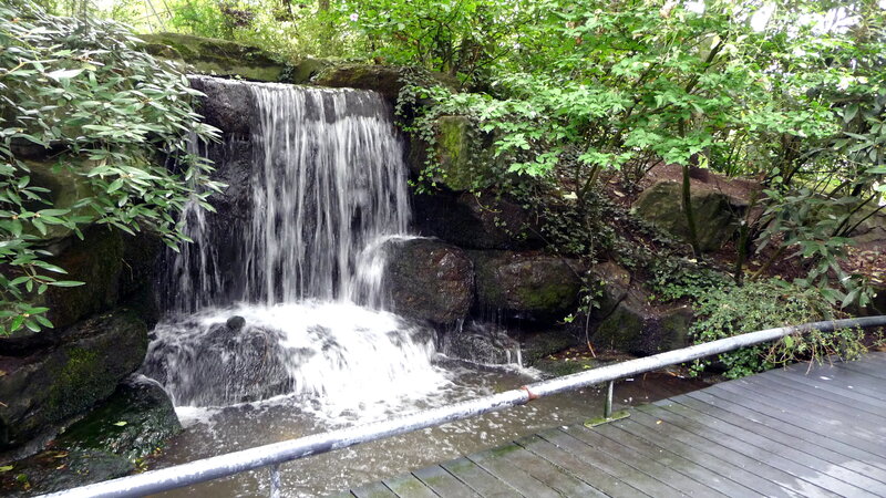 Small Waterfall in Garden — Green, Serene, Afternoon, Photograph, Trees