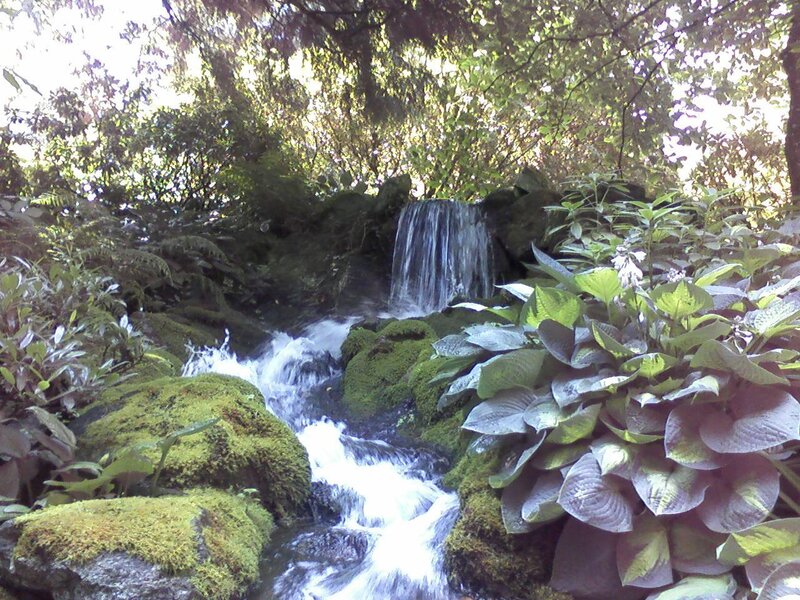 Small Waterfall in Garden — Green, Serene, Afternoon