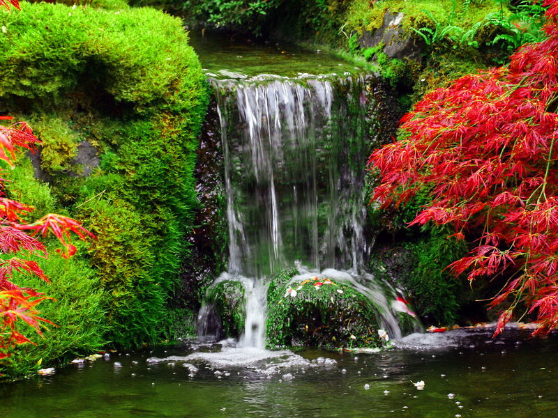 Small Waterfall in Garden — Green, Serene, Autumn, Photograph, Moss