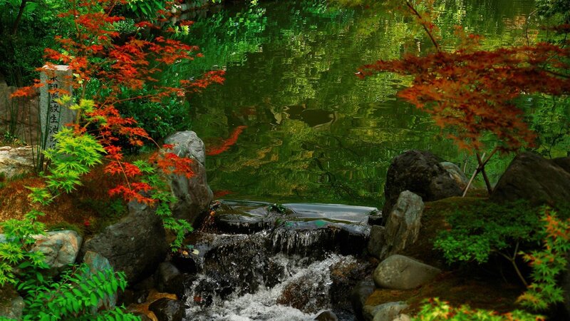 Small Waterfall in Garden — Green, Serene, Autumn, Photograph