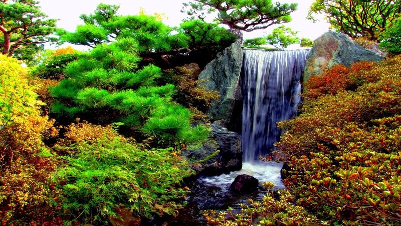 Small Waterfall in Garden — Green, Serene, Autumn, Photograph, Trees