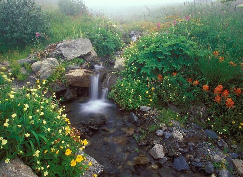 Small Waterfall in Garden — Green, Serene, Morning