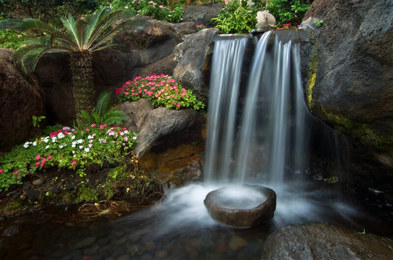 Small Waterfall in Garden — Green, Serene, Photograph, Flowers