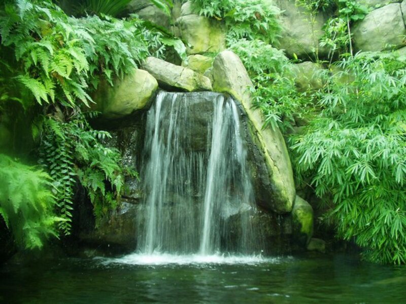 Small Waterfall in Garden — Green, Serene, Photograph, Plants, Rocks