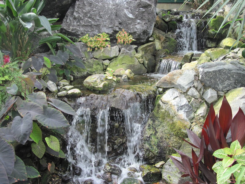 Small Waterfall in Garden — Green, Serene, Photograph, Rocks, Plants, Moss, Stream