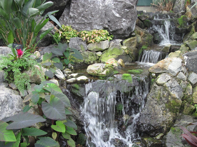 Small Waterfall in Garden — Green, Serene, Photograph, Rocks, Plants, Moss