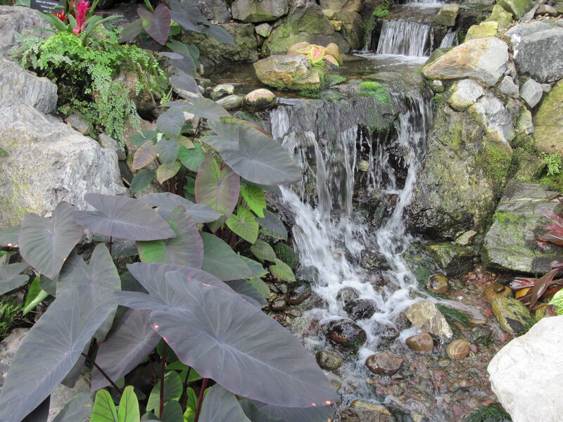 Small Waterfall in Garden — Green, Serene, Photograph, Rocks, Plants, Stream