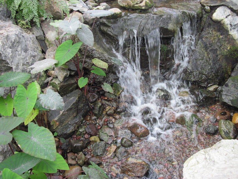 Small Waterfall in Garden — Green, Serene, Photograph, Rocks, Plants