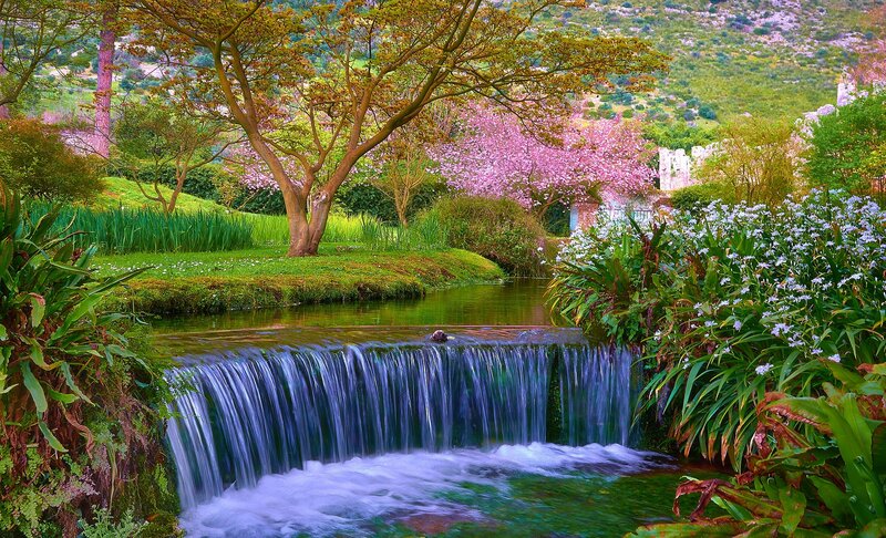 Small Waterfall in Garden — Green, Serene, Spring, Photograph, Trees