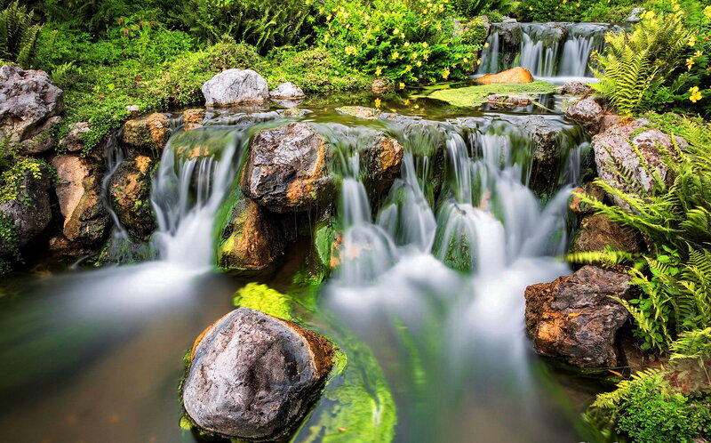 Small Waterfall in Garden — Green, Serene, Spring