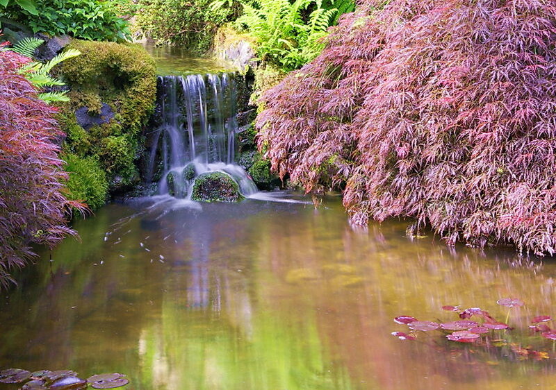 Small Waterfall in Garden — Green