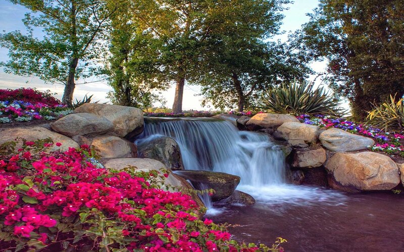 Small Waterfall in Garden — Pink