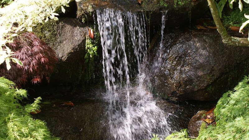 Small waterfall in garden
