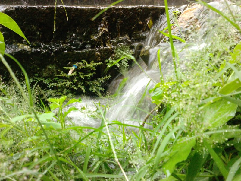 Small Waterfall in Grass