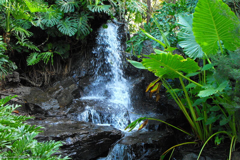 Small Waterfall in Jungle — Green, Serene, Afternoon