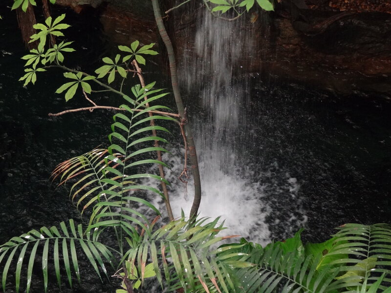 Small Waterfall in Jungle — Green, Serene