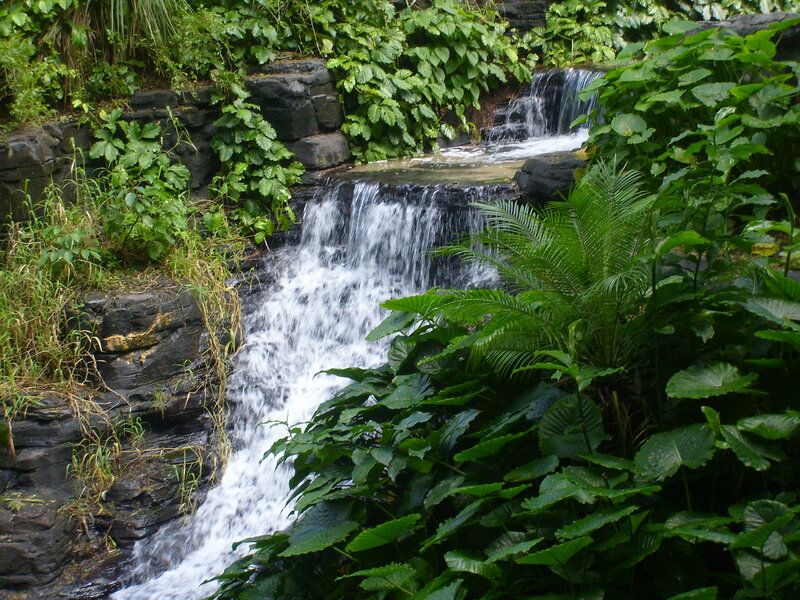 Small Waterfall in Jungle — Green