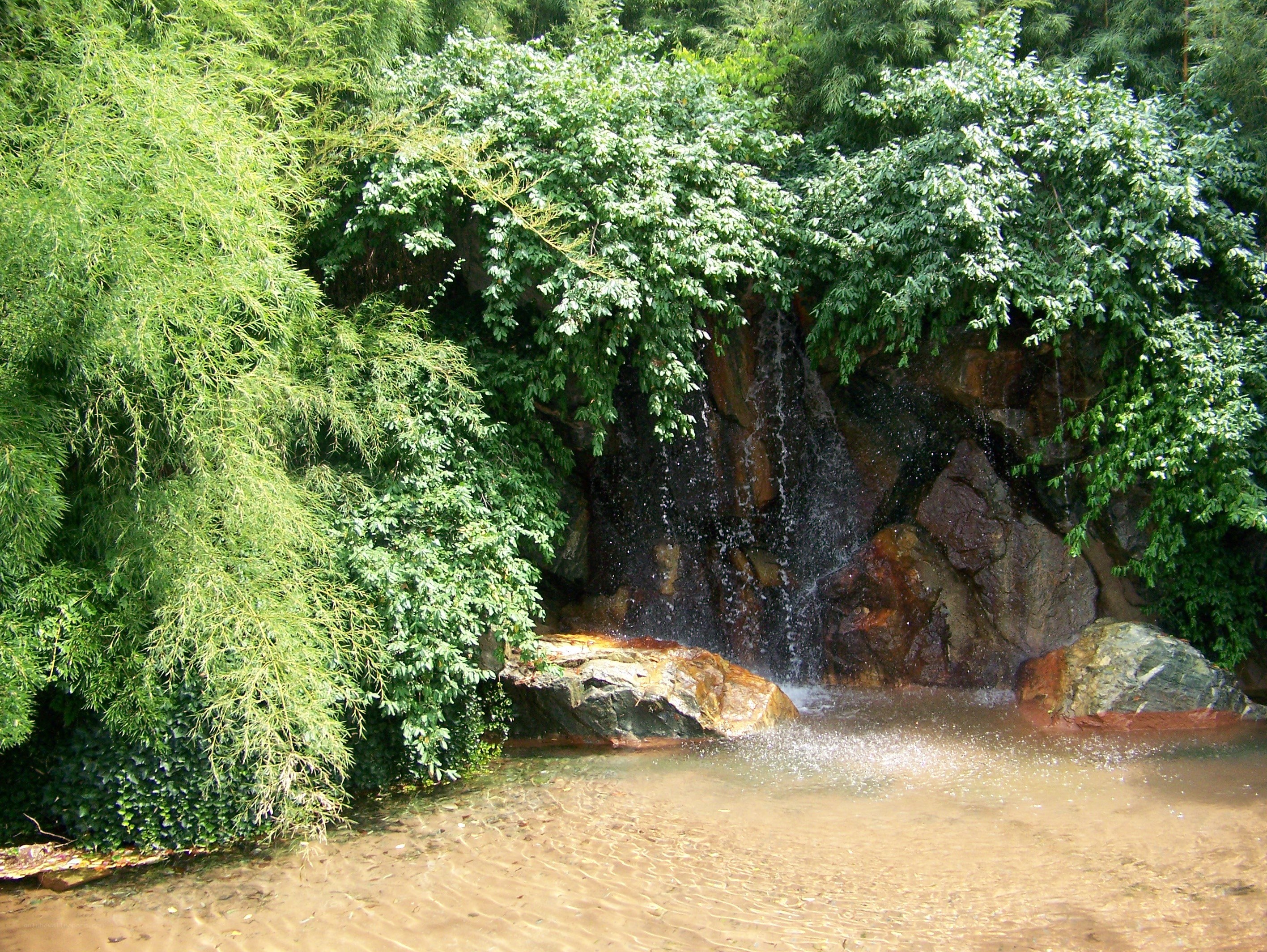 Small waterfall in lush greenery