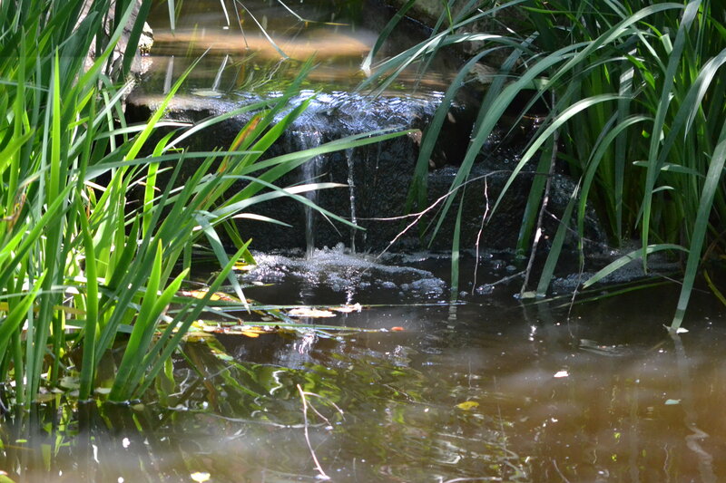 Small Waterfall in Pond