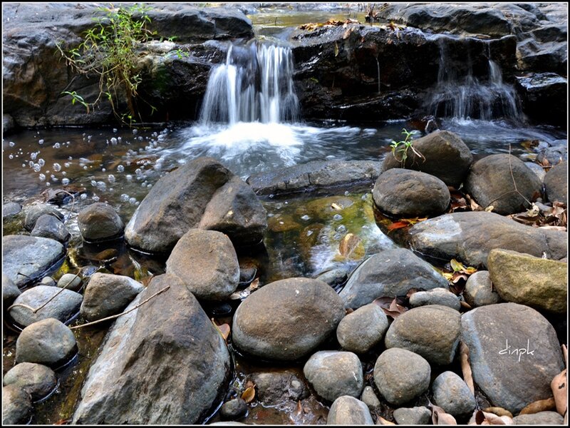 Small Waterfall in Stream — Gray
