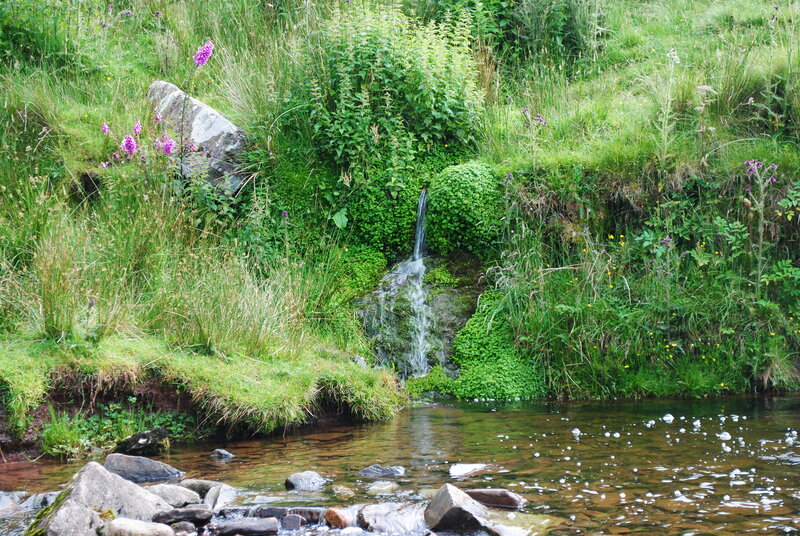 Small Waterfall in Stream — Green, Serene, Afternoon, Photograph