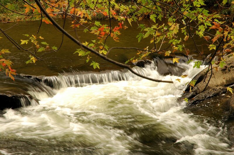Small Waterfall in Stream — Green, Serene, Autumn